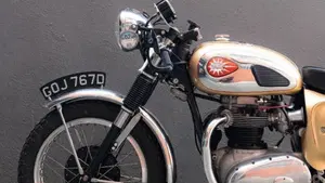 Bsa   (15)