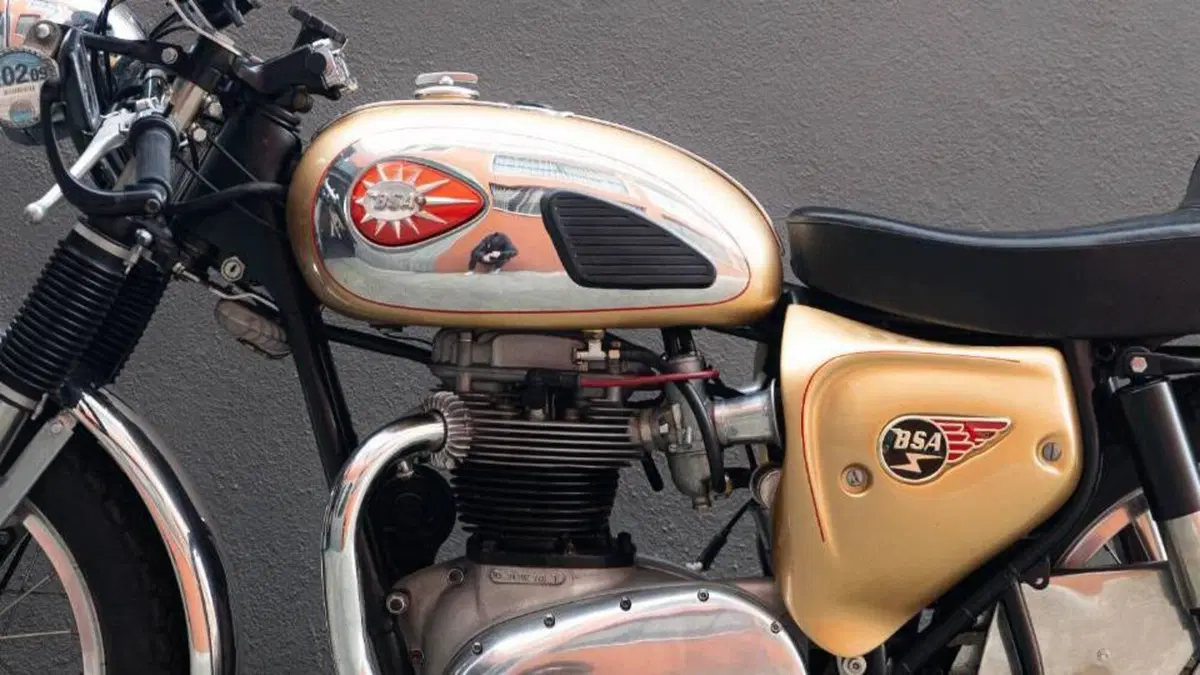 Bsa   (16)