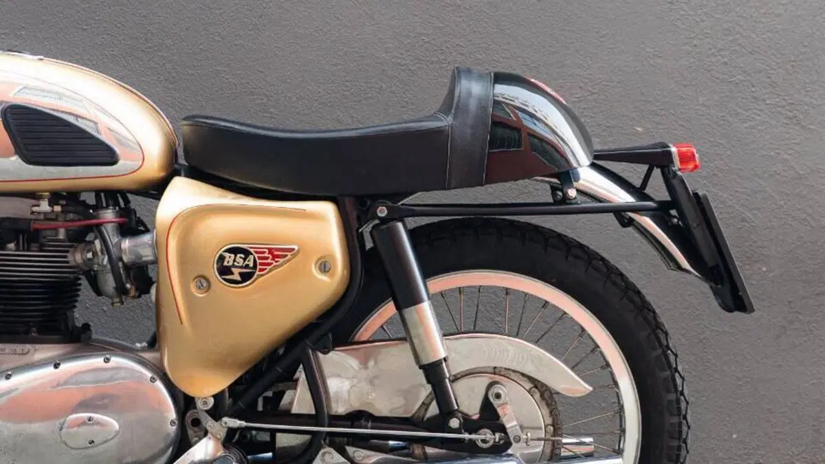 Bsa   (17)