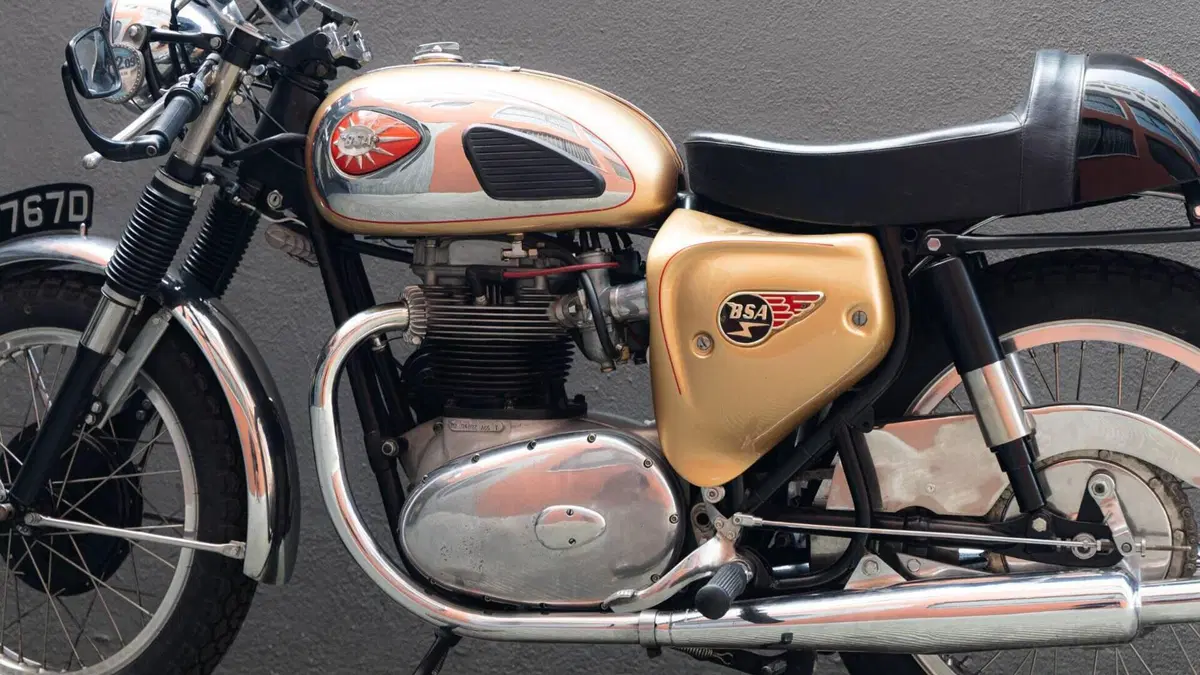 Bsa   (18)