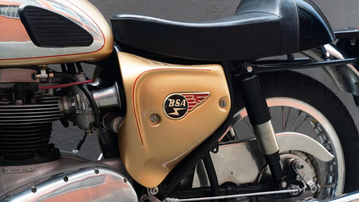 Bsa   (19)