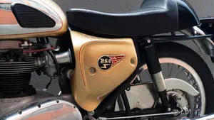 Bsa   (19)