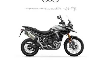 Triumph Tiger 900 Rally Pro (2024 - 26) - Annuncio 9829170