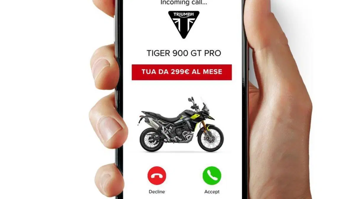 Triumph Tiger 900 Rally Pro (2024 - 26)  (3)