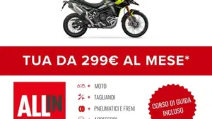 Triumph Tiger 900 Rally Pro (2024 - 26)  (2)