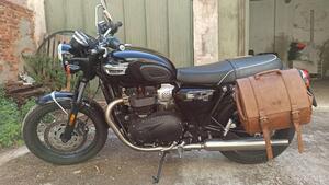 Triumph Bonneville T100 (2021 - 25) 