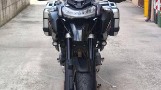 Triumph Tiger 1200 GT Pro (2024 - 25) usata