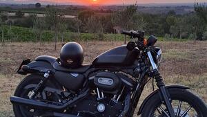 Harley-Davidson 883 Iron (2009 - 11) - XL 883N