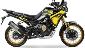 Voge Valico 800DSX Rally (2025 - 26) nuova