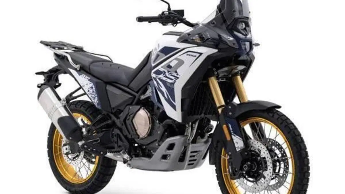 Voge Valico 800DSX Rally (2025 - 26)  (2)