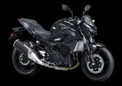 Kawasaki Z 500 (2024 - 26) - Annuncio 9829894