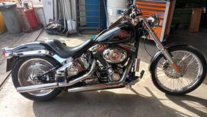 Harley-Davidson 1584 Custom (2008 - 09) - FXSTC 