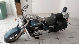 Suzuki VL 800 Intruder Volusia (2000 - 04) usata