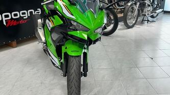 Kawasaki Ninja 500 SE Sport (2025 - 26) usata