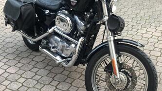 Harley-Davidson 883 Standard (2001 - 05) - XL 883