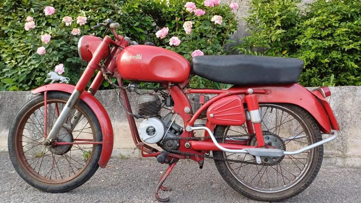 Benelli   (3)
