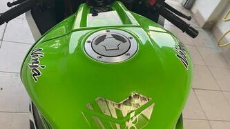 Kawasaki Ninja 1000 ZX-10R (2011 - 15) usata