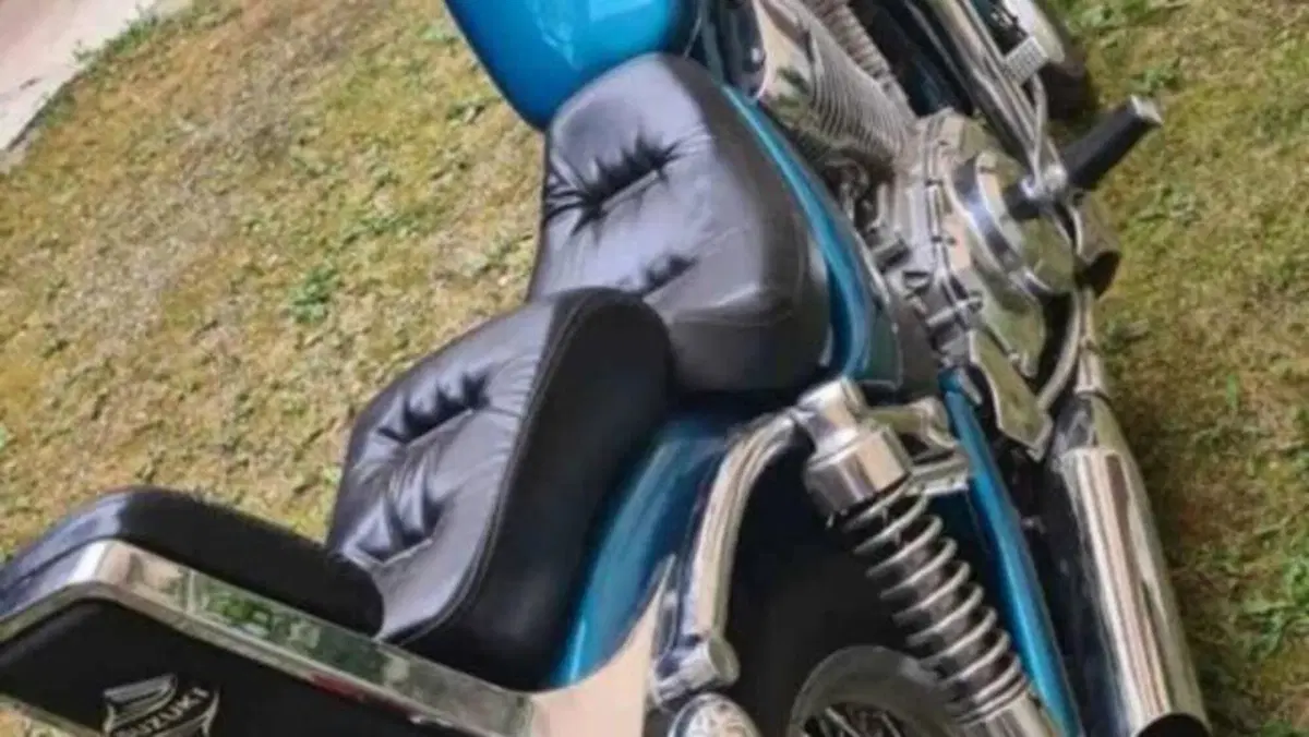 Suzuki VS 600 GL Intruder (1995 - 96)  (2)