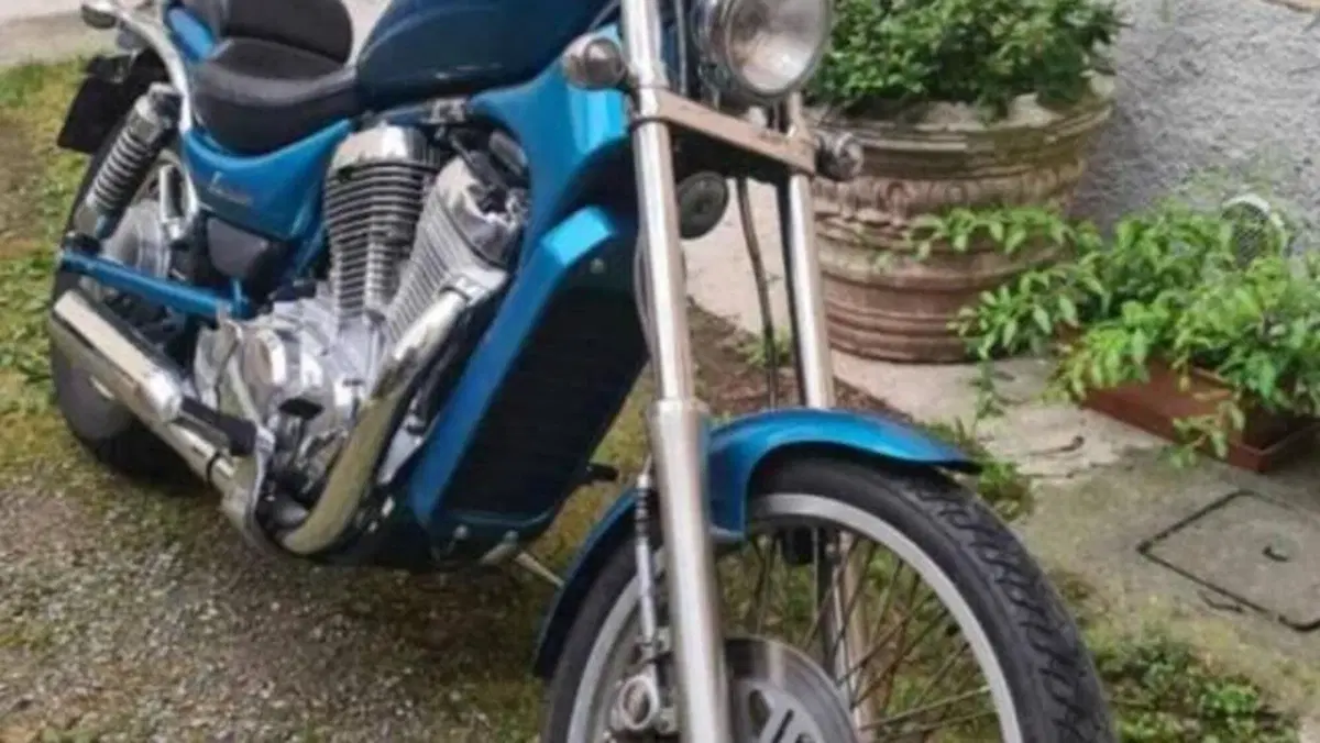Suzuki VS 600 GL Intruder (1995 - 96)  (3)