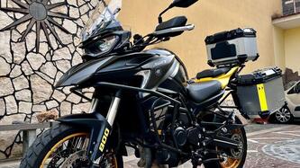 QJ Motor SRT 800 SX (2024 - 25)