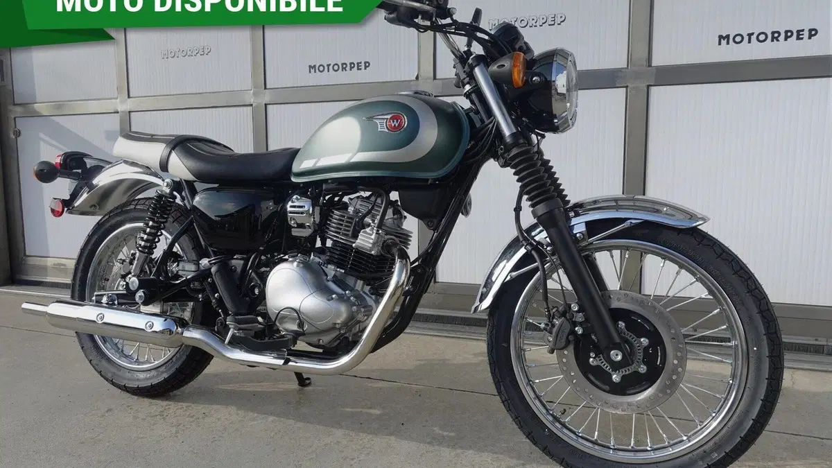 Kawasaki W 230 (2025 - 26) 
