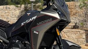 Moto Morini X-Cape 650 (2021 - 25) 