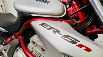 Kawasaki ER-6N (2006 - 09)