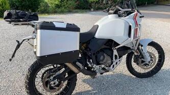 Ducati DesertX (2022 - 25) usata
