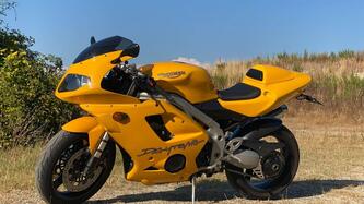 Triumph Daytona 955 I (2003 - 06)