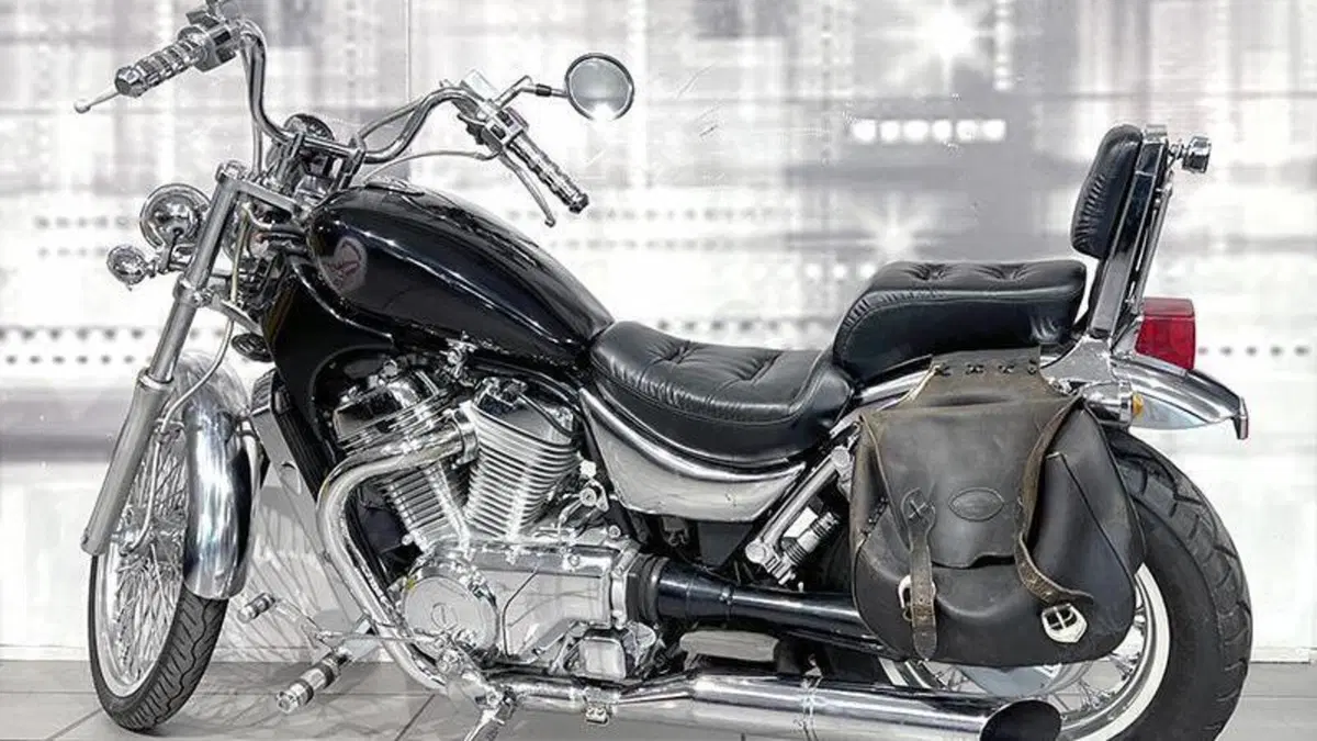 Suzuki VS 800 GL (1992 - 98)  (2)