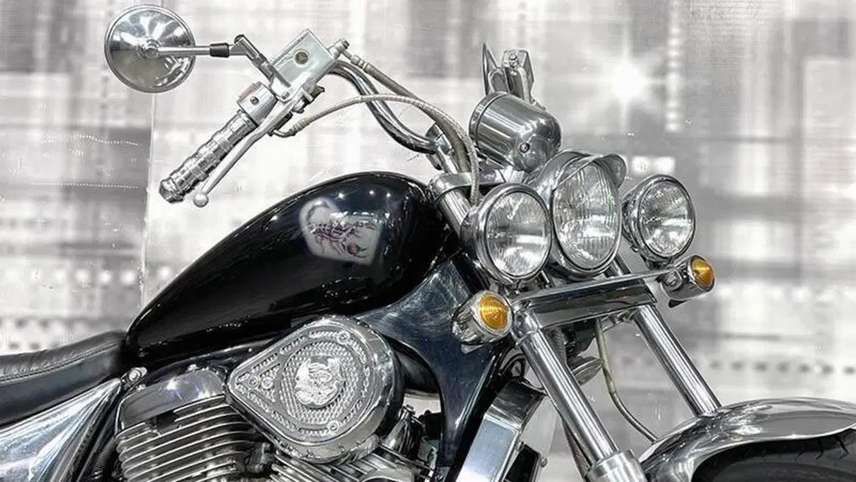 Suzuki VS 800 GL (1992 - 98)  (3)