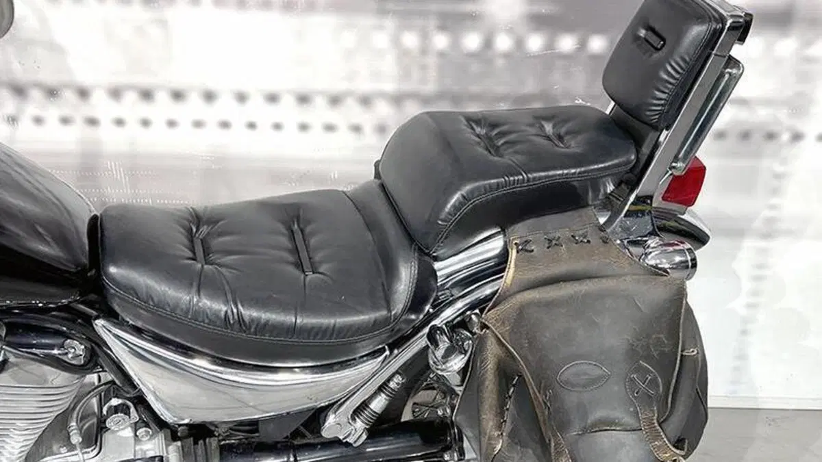 Suzuki VS 800 GL (1992 - 98)  (5)