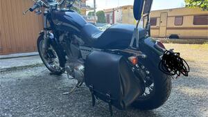 Harley-Davidson 883 Custom (2001 - 05) - XL 53C
