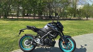 Yamaha MT-125 (2021 - 24) 