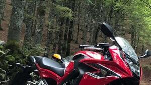 Honda CBR 650 F (2017 - 18) 