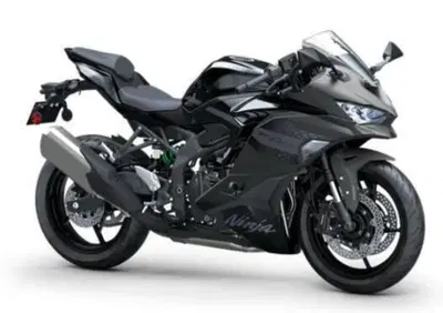 Kawasaki Ninja ZX-4RR (2024 - 26) - Annuncio 9833989