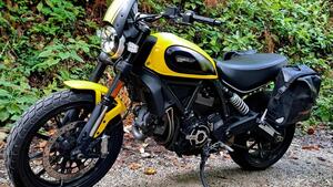 Ducati Scrambler 800 Icon (2017 - 20)