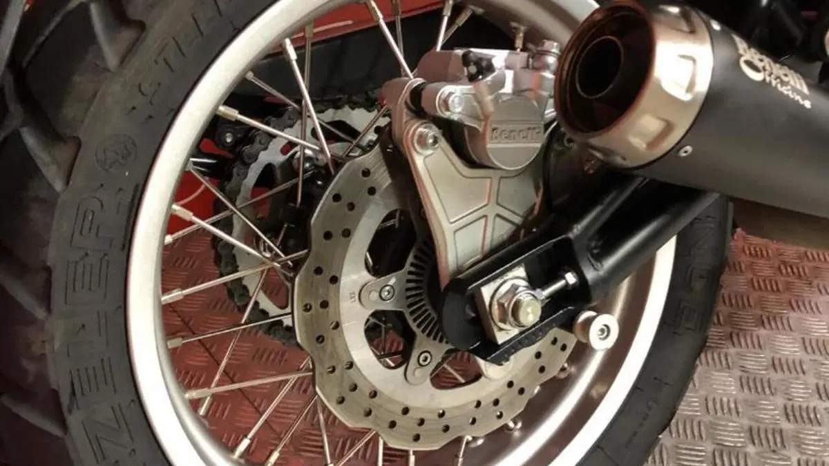 Benelli Leoncino 500 Trail (2021 - 26)  (5)