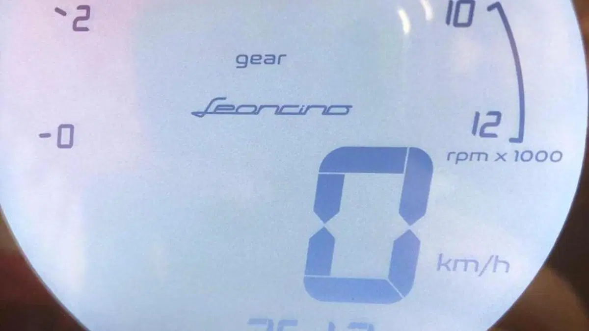 Benelli Leoncino 500 Trail (2021 - 26)  (7)