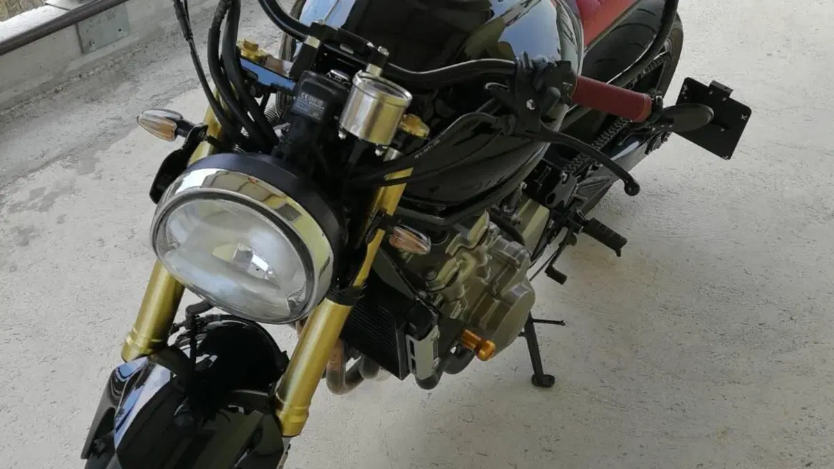 Honda Hornet 600 (2005 - 06)  (4)
