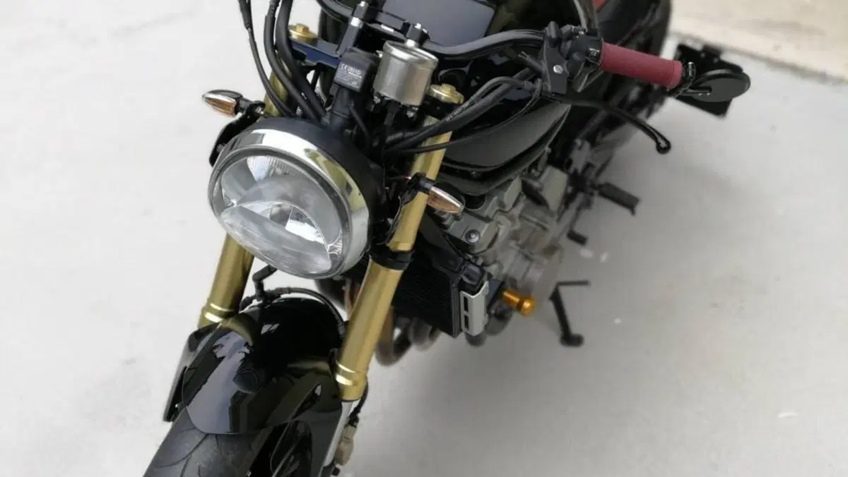 Honda Hornet 600 (2005 - 06)  (6)