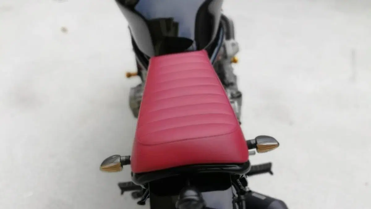 Honda Hornet 600 (2005 - 06)  (8)