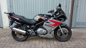 Suzuki GS 500 F (2004 - 06) 