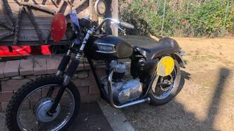 Triumph 