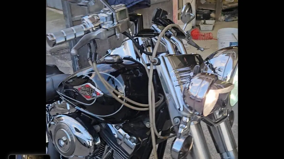 Harley-Davidson 1584 Heritage Classic (2008 - 10) - FLSTC  (7)