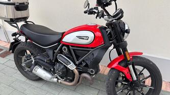 Ducati Scrambler 800 Icon (2021 - 22)