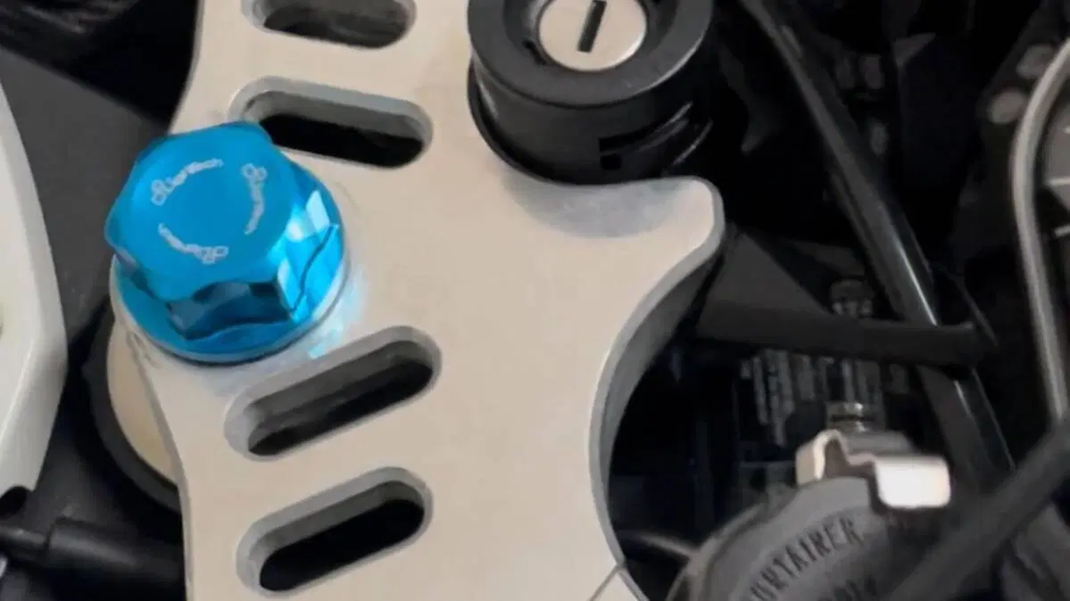 Bmw S 1000 RR (2009 - 12)  (8)