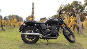 Triumph Bonneville T100 (2008 - 16) 