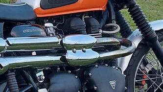 Triumph Scrambler (2006 - 17) usata