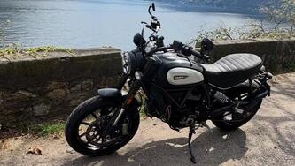 Ducati Scrambler 800 Icon Dark (2020)